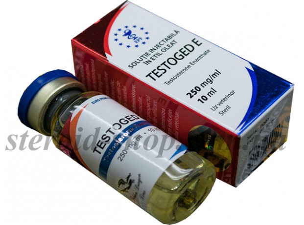 Тестостерон Энантат Euro Prime Farmaceuticals 10 ml, Testoged E